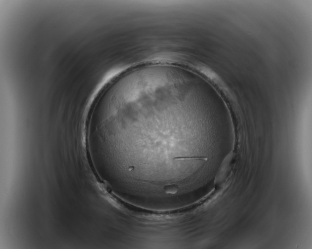 X0000086751232200704201719