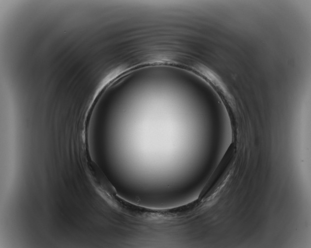 X0000086751234200704201719