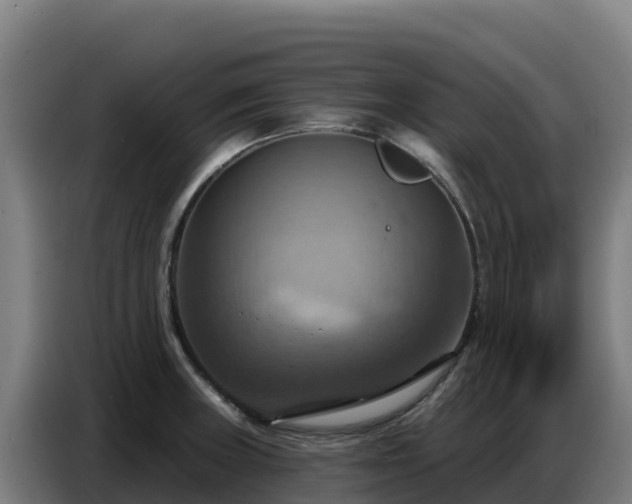 X0000086751235200704201719
