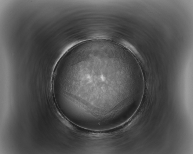 X0000086751236200704201719