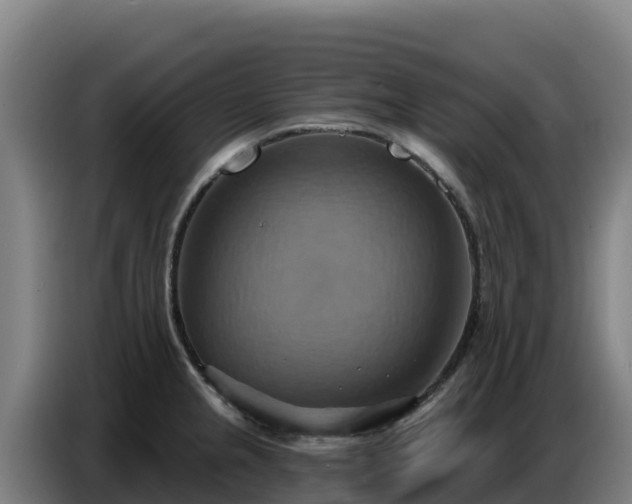 X0000086751237200704201719