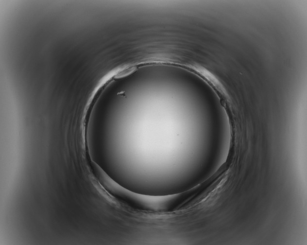 X0000086751238200704201719