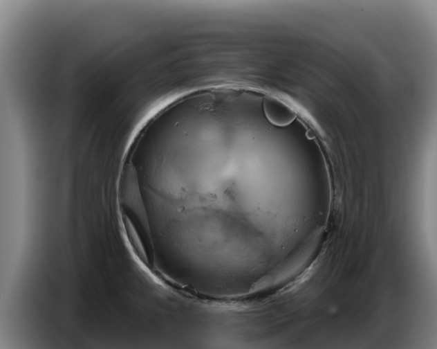 X0000086751239200704201719