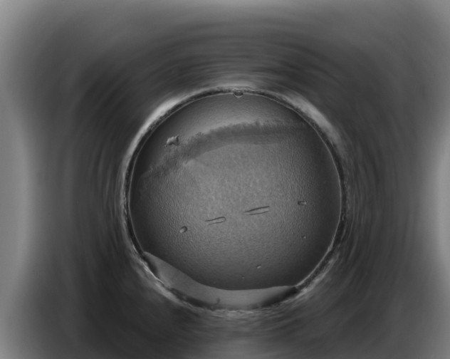 X0000086751240200704201719