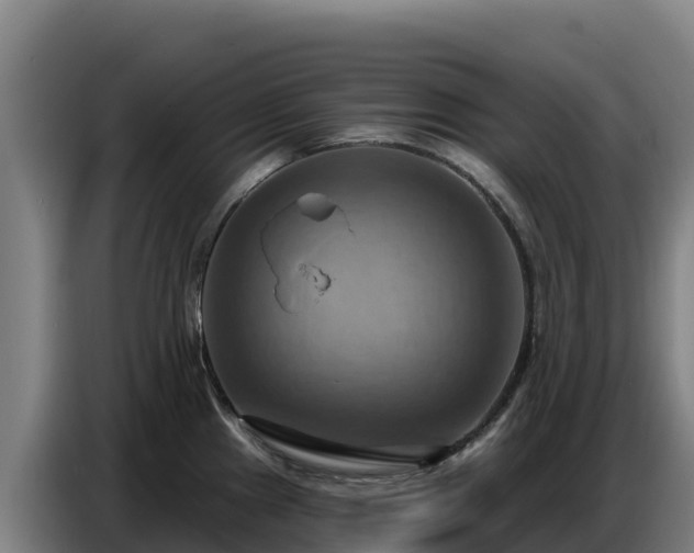 X0000086751241200704201719