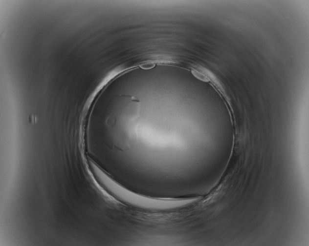 X0000086751243200704201719