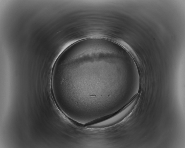 X0000086751244200704201719
