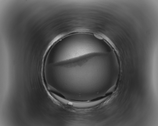 X0000086751245200704201719
