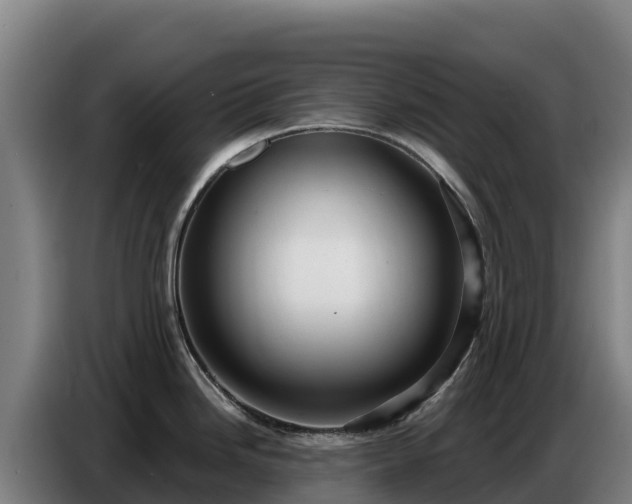 X0000086751246200704201719