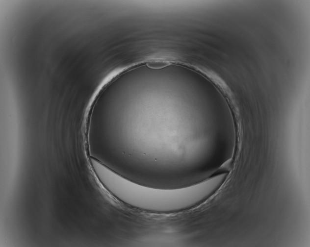 X0000086751248200704201719