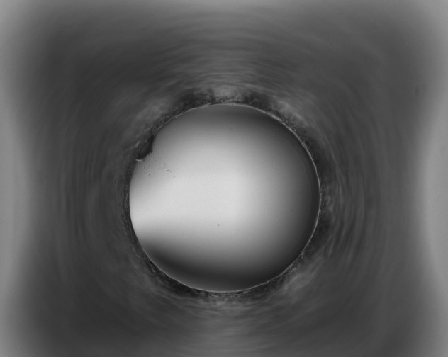 X0000086751249200704201718