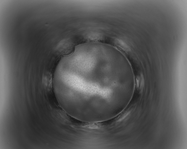 X0000086751251200704201718