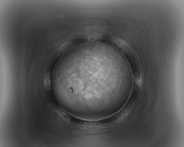 X0000086751252200704201718