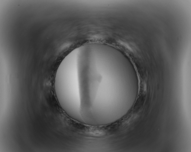 X0000086751254200704201718