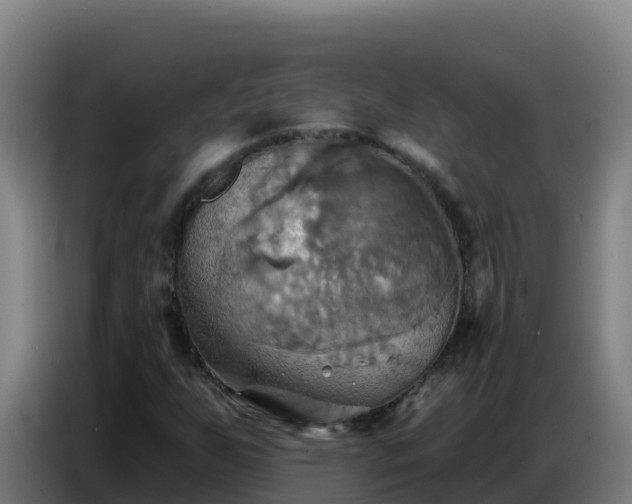 X0000086751255200704201718