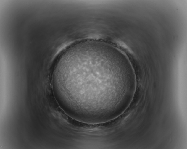 X0000086751256200704201718