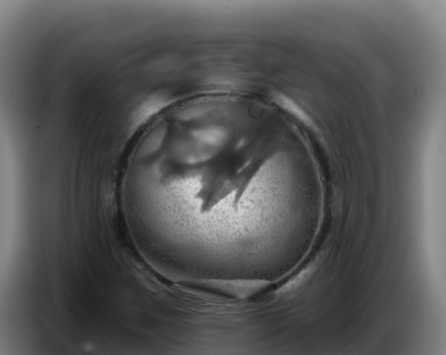X0000086751259200704201718