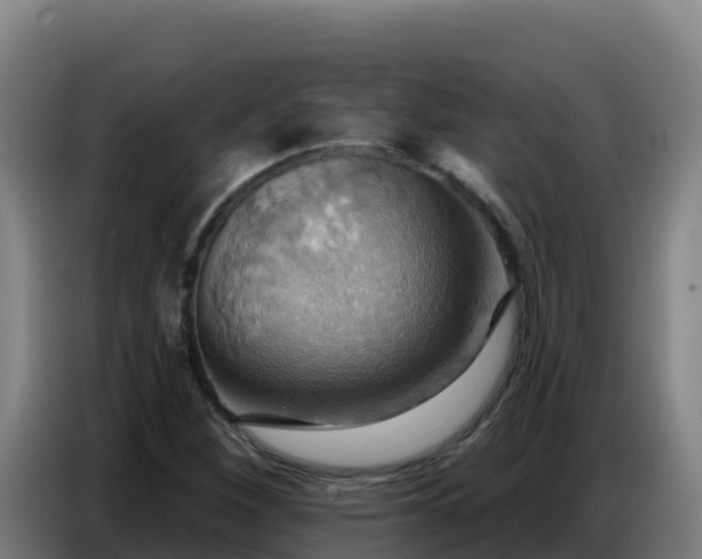 X0000086751260200704201718
