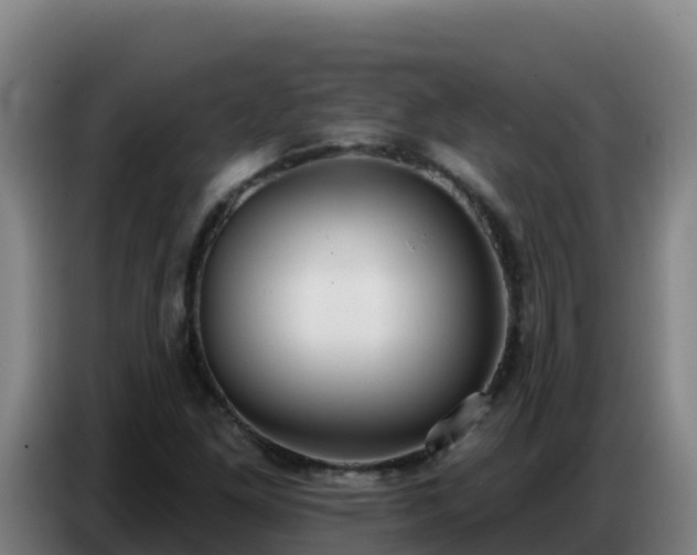 X0000086751261200704201718