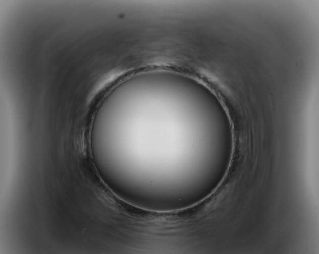 X0000086751262200704201718