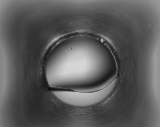 X0000086751263200704201718