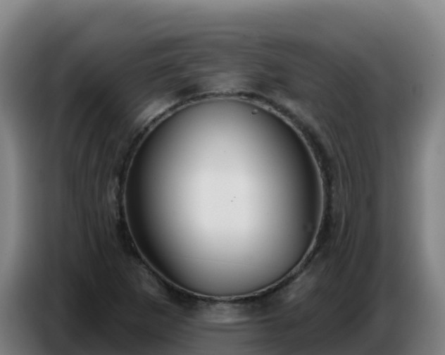 X0000086751265200704201718