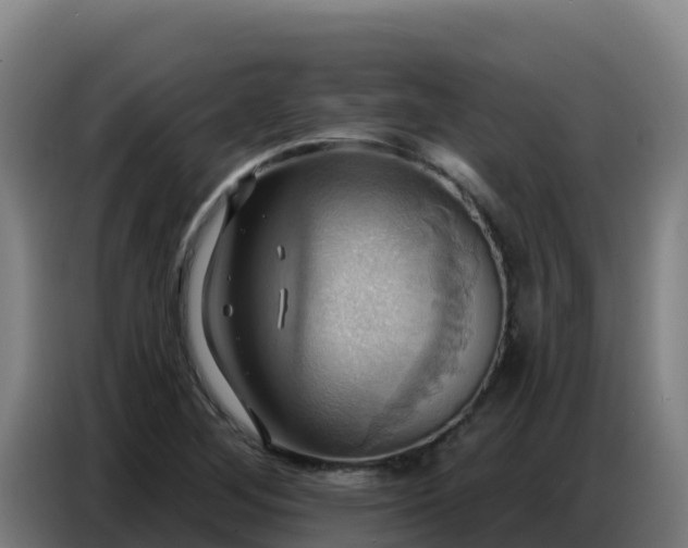 X0000086751268200704201718