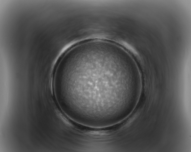 X0000086751272200704201718