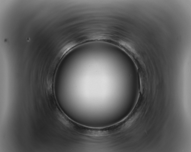 X0000086751273200704201718
