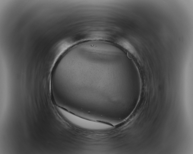 X0000086751275200704201718