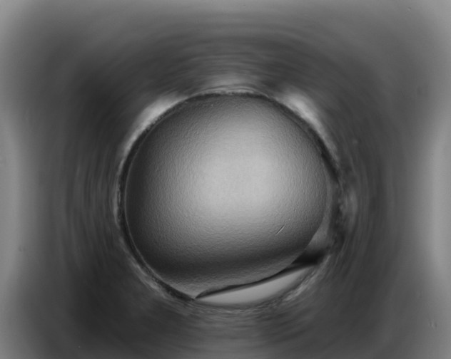 X0000086751277200704201718