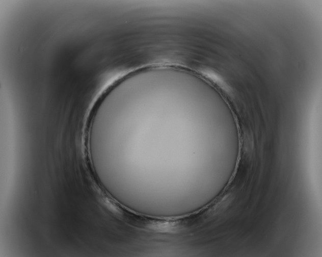 X0000086751278200704201718