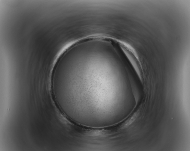 X0000086751279200704201718