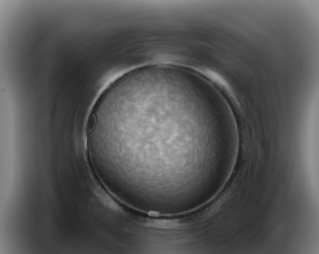 X0000086751280200704201718