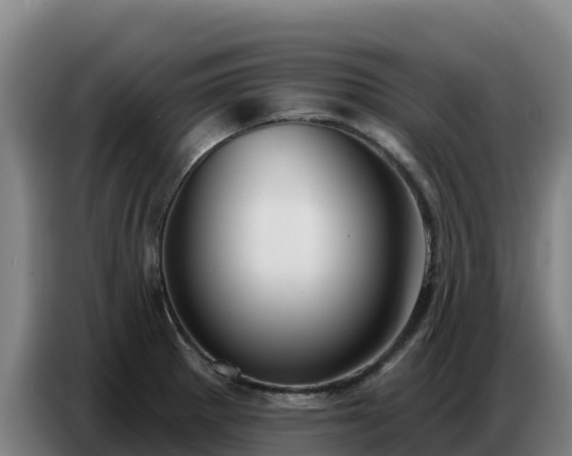 X0000086751281200704201718