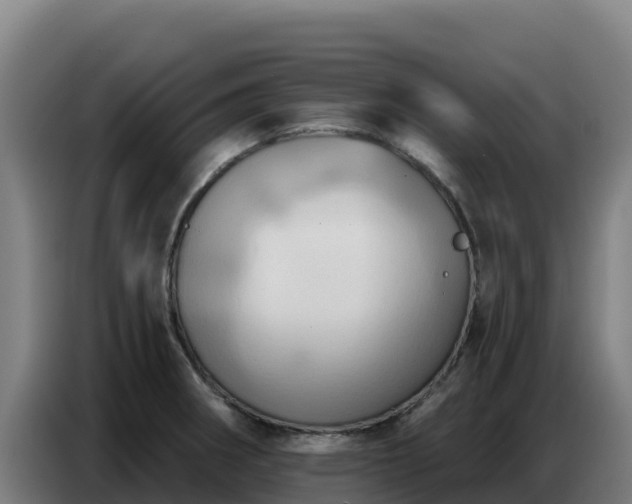 X0000086751282200704201718