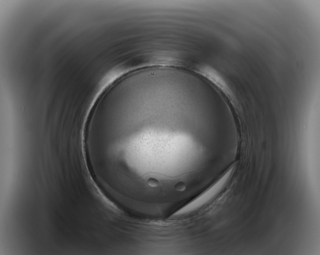 X0000086751283200704201718