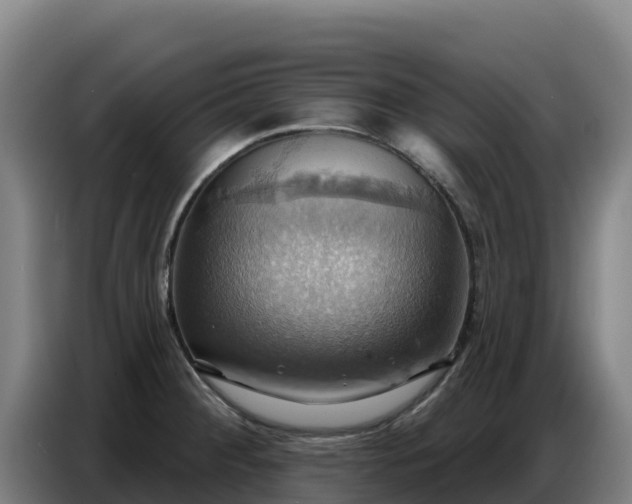 X0000086751284200704201718