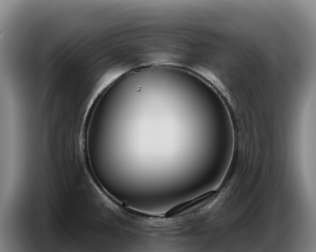 X0000086751285200704201718