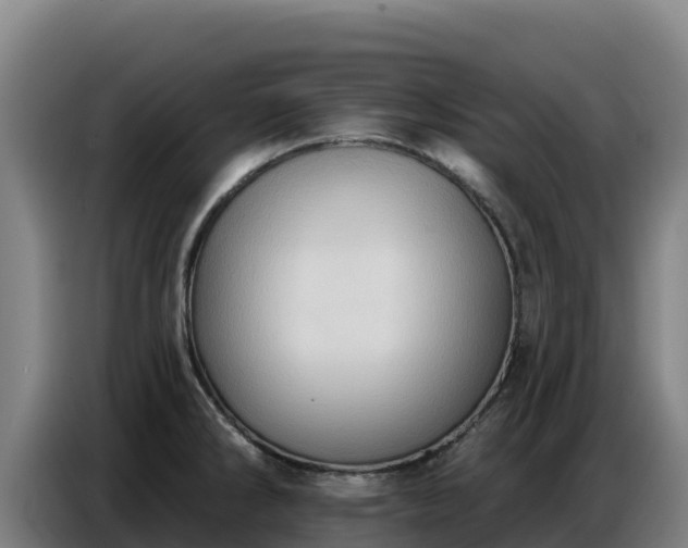 X0000086751286200704201718