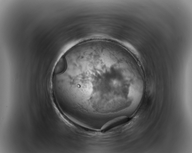 X0000086751287200704201718