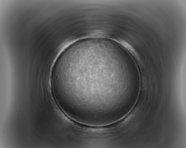 X0000086751288200704201718