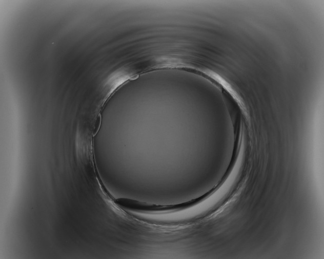 X0000086751289200704201718