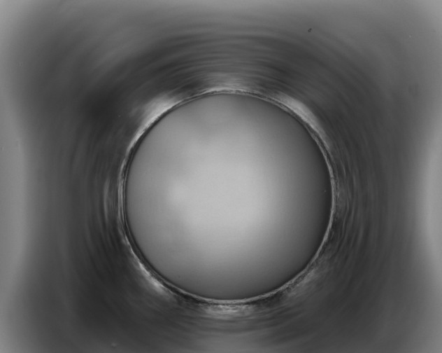 X0000086751290200704201718