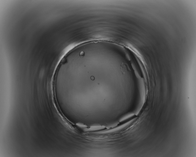 X0000086751291200704201718