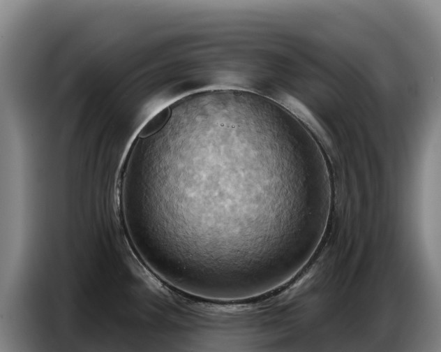 X0000086751292200704201718