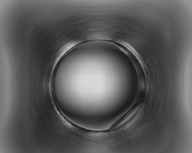 X0000086751293200704201718