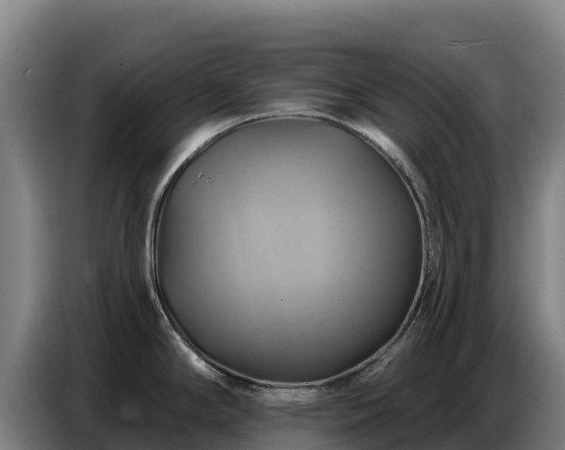 X0000086751294200704201718