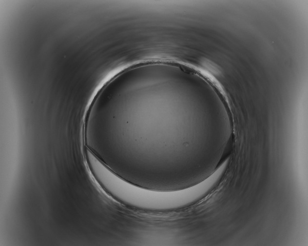 X0000086751295200704201718