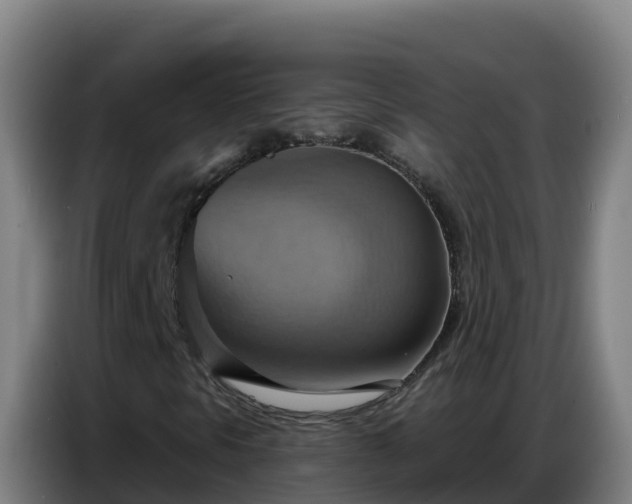 X0000086751297200704201717